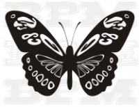 /album/fotogaleria-hmyz/hmyz-7-jpg/